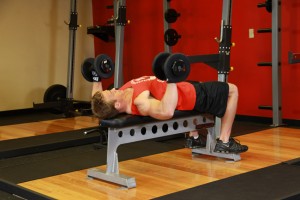 Chest WorkOuts for begginers - Dumbbell Bench Press