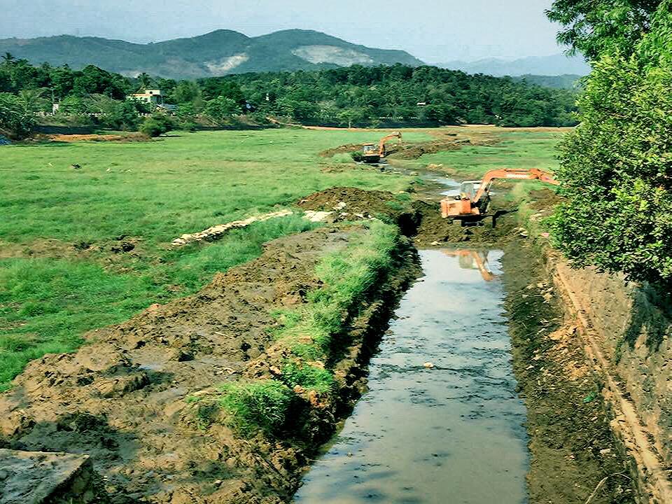 Rice Field in Kerala