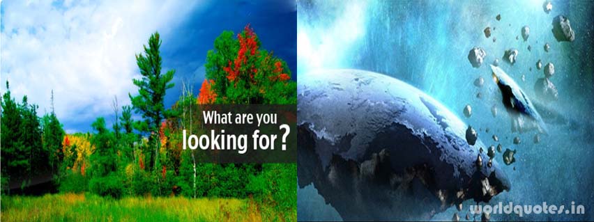 what are you looking for