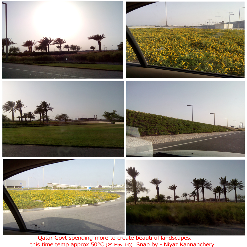 qatar landscape 1000