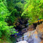 Kerala Kundu Waterfalls Entrance