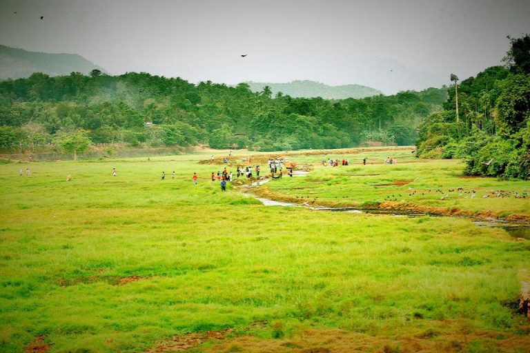 Kerala Gods Own Coutry